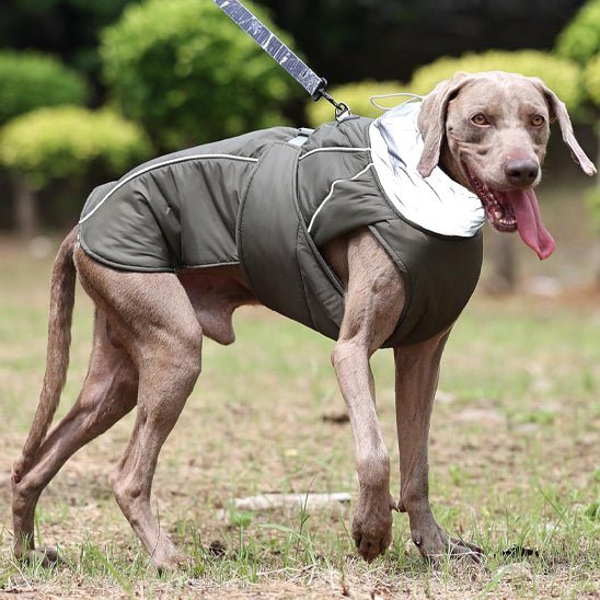 Manteau pour chien | BigPawGuardâą - MyDoggy - Shop