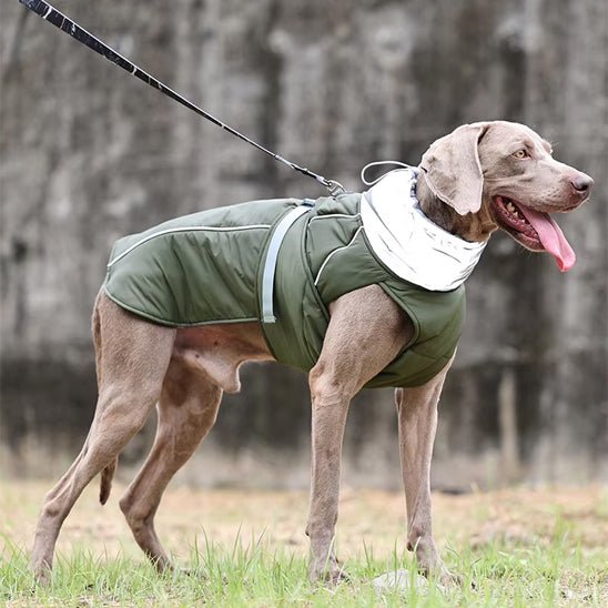 Manteau pour chien | BigPawGuardâą - MyDoggy - Shop