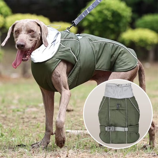 Manteau pour chien | BigPawGuardâą - MyDoggy - Shop