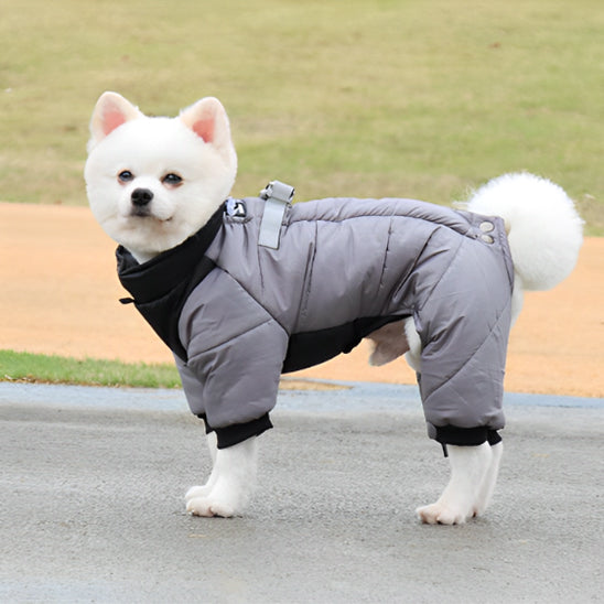 manteau pour chien hiver en tissu chaud et résistant