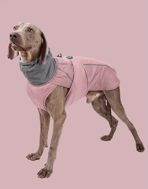 Manteau pour chien | BigPawGuardâą - MyDoggy - Shop