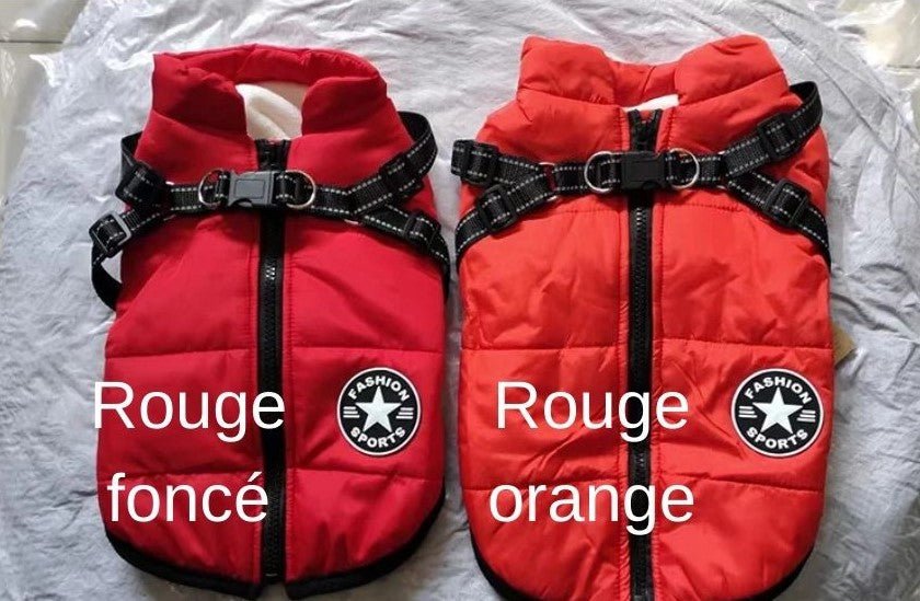 Manteau pour chien | BigDogy™ - MyDoggy - Shop