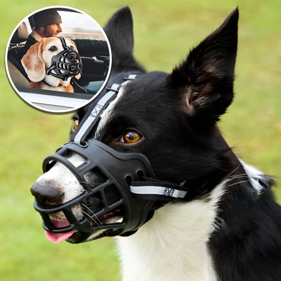 Muselière | Silicone Souple - MyDoggy - Shop