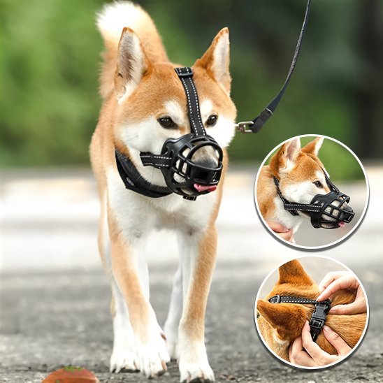 Muselière | Silicone Souple - MyDoggy - Shop