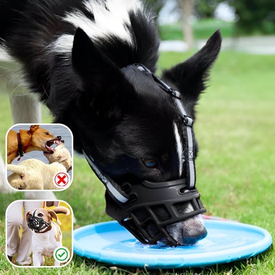 Muselière | Silicone Souple - MyDoggy - Shop