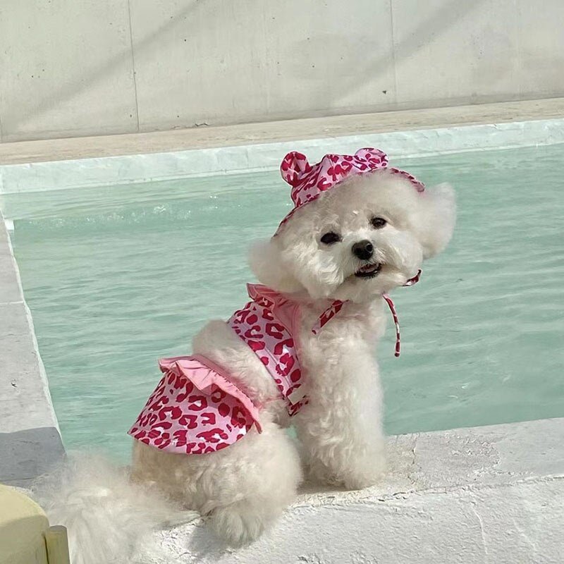 Piscine chien Maillot de bain|CARE - SWIMWEAR™ - MyDoggy - Shop