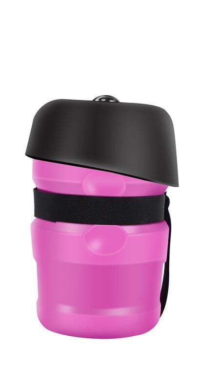 gourde pour chien: Hydratation nomade pour animaux de compagnie en balade