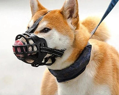 Muselière chien - MyDoggy-Shop