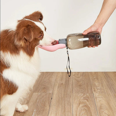 Gourde pour chien - MyDoggy-Shop