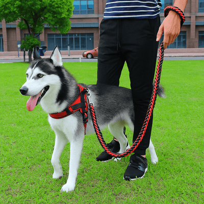 Laisse pour chien - MyDoggy-Shop