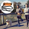 Laisse De Course Mains Libres Pour Chien