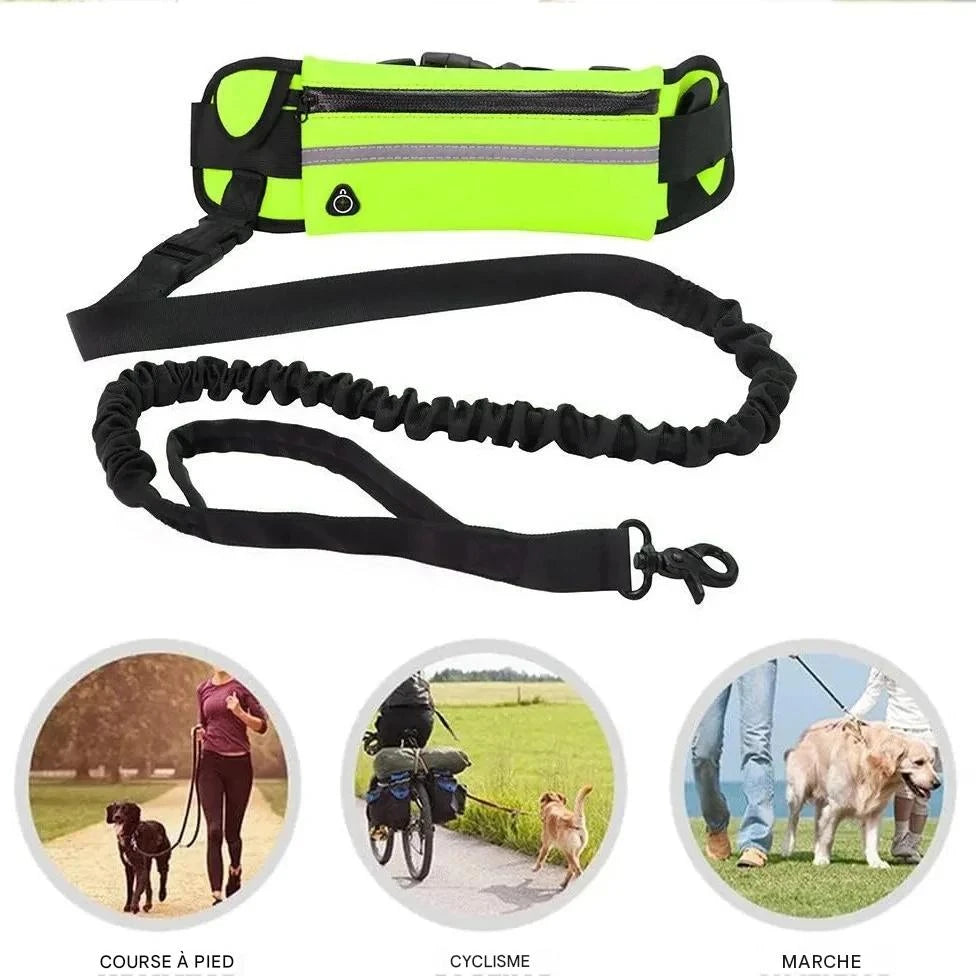 Laisse pour chien Mains Libres | Laisse-ceinture-sac tout en un