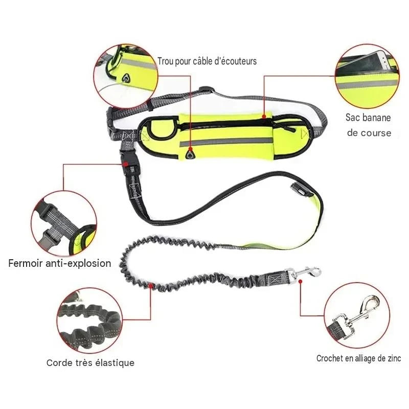 Laisse pour chien Mains Libres | Laisse-ceinture-sac tout en un