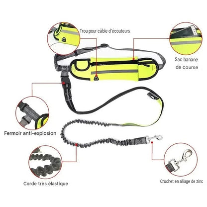 Laisse pour chien Mains Libres | Laisse-ceinture-sac tout en un