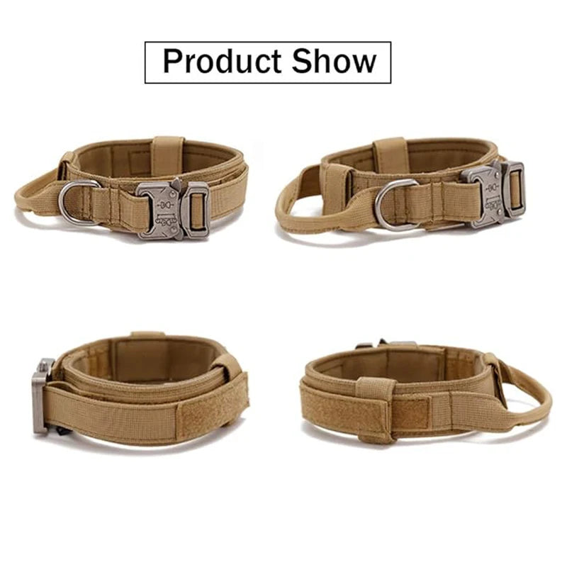 Collier chien velcro grande surface ajustable