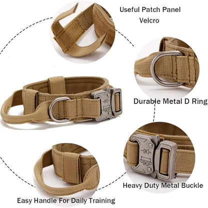 Détails collier tactique chien boucle zinc anneau D