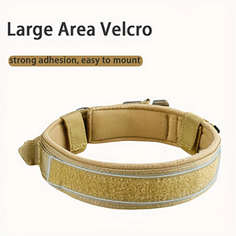 Collier et laisse tactique chien ensemble balade