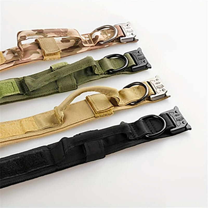 Collier nylon chien résistant déformation sport