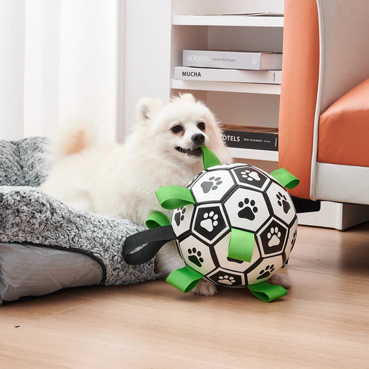 BALLE INTERACTIVE POUR CHIEN|ToyBall™ - MyDoggy - Shop