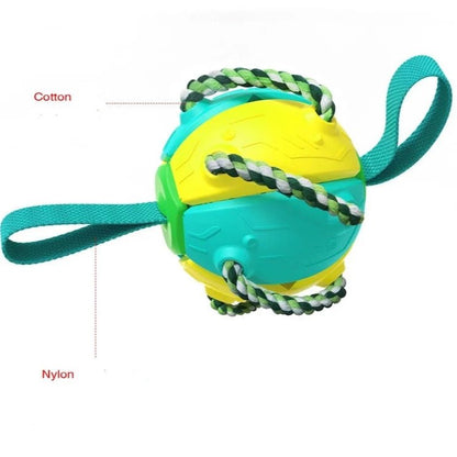 Balle pour chien|BondiBall Toutou™ - MyDoggy - Shop