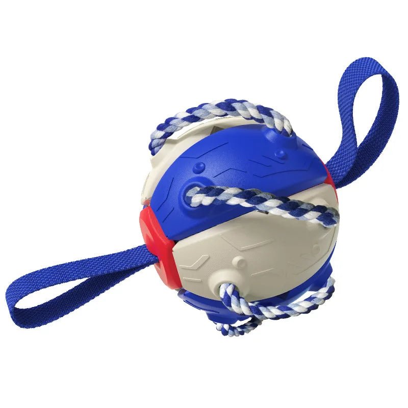 Balle pour chien|BondiBall Toutou™ - MyDoggy - Shop