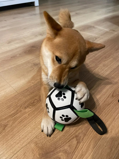 Balle interactive pour chien éducative