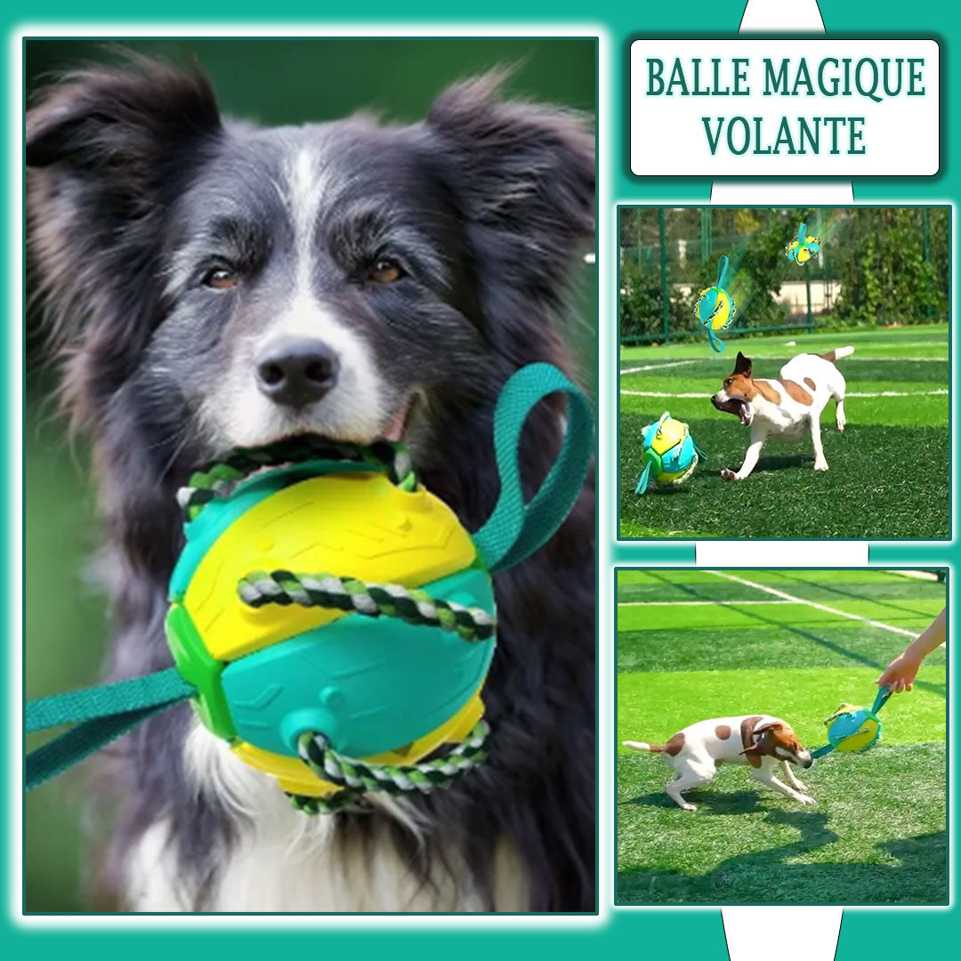 Balle pour chien BondiBall rebondissante - Balle chien résistante jeu interactif