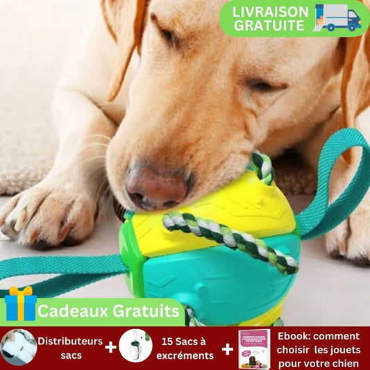 Balle pour chien|BondiBall Toutou™ - MyDoggy - Shop