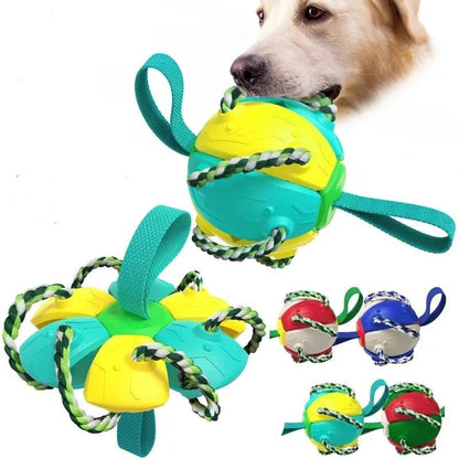 Balle pour chien|BondiBall Toutou™ - MyDoggy - Shop