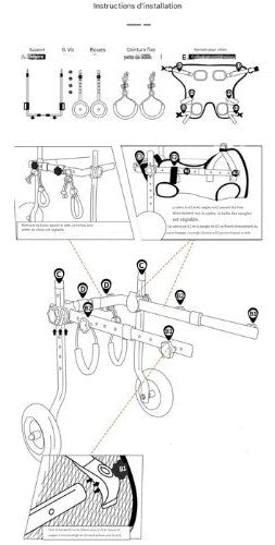 Chariot pour chien|Roues de l’Espoir™