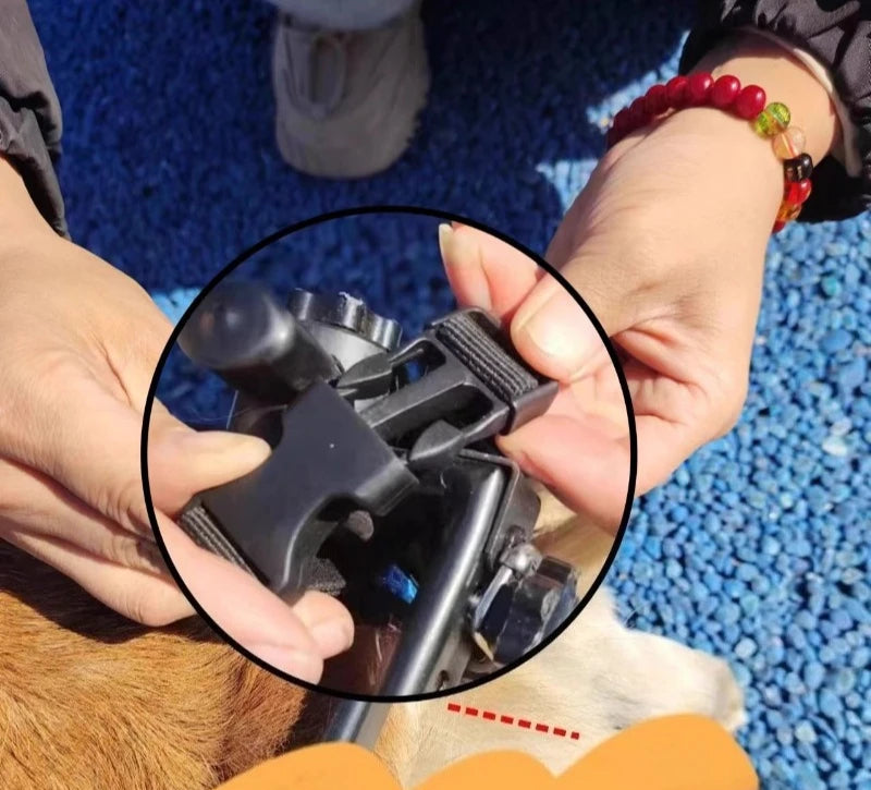 Chariot pour chien|Roues de l’Espoir™