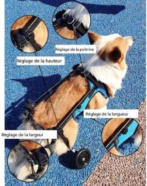 Chariot pour chien|Roues de l’Espoir™