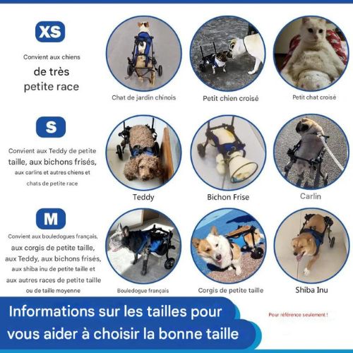 Chariot pour chien|Roues de l’Espoir™