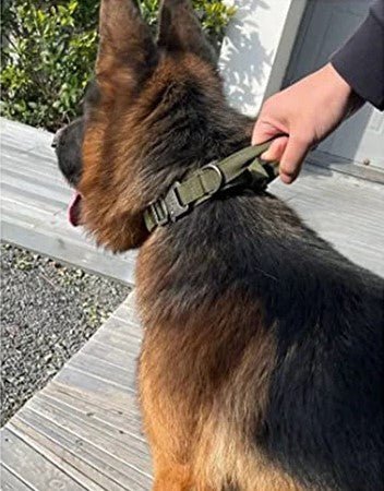 Collier Chien Tactique Nylon Renforcé | TactiCollar™ - MyDoggy-Shop