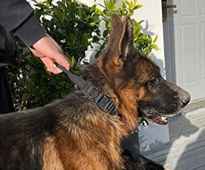 Collier Chien Tactique Nylon Renforcé | TactiCollar™ - MyDoggy-Shop