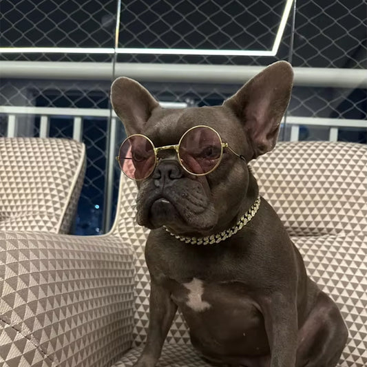 Collier chien bijou Luxe