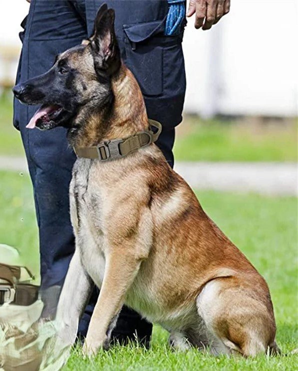 Collier Chien Tactique Nylon Renforcé | TactiCollar™ - MyDoggy-Shop