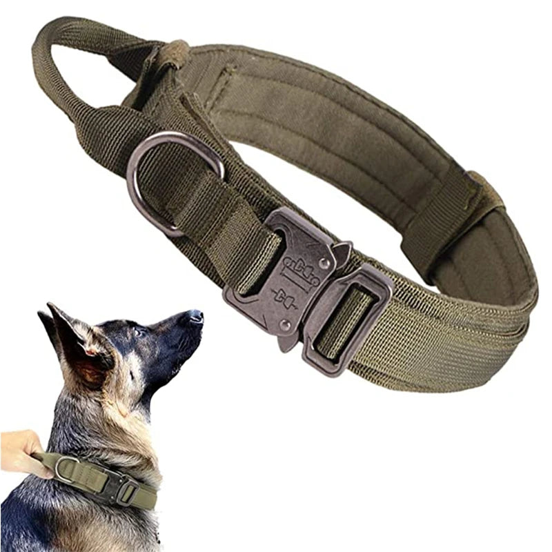 Collier Chien Tactique Nylon Renforcé | TactiCollar™