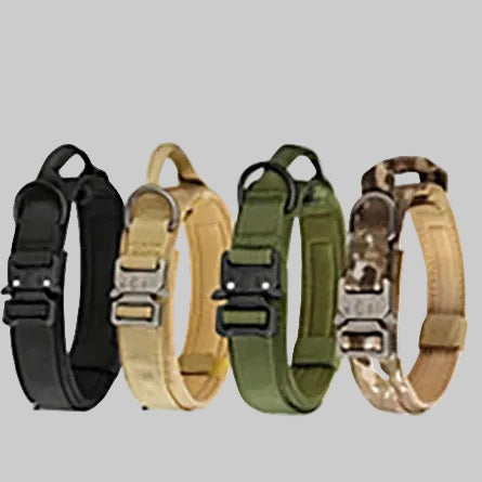 Collier tactique chien ajustable toutes tailles