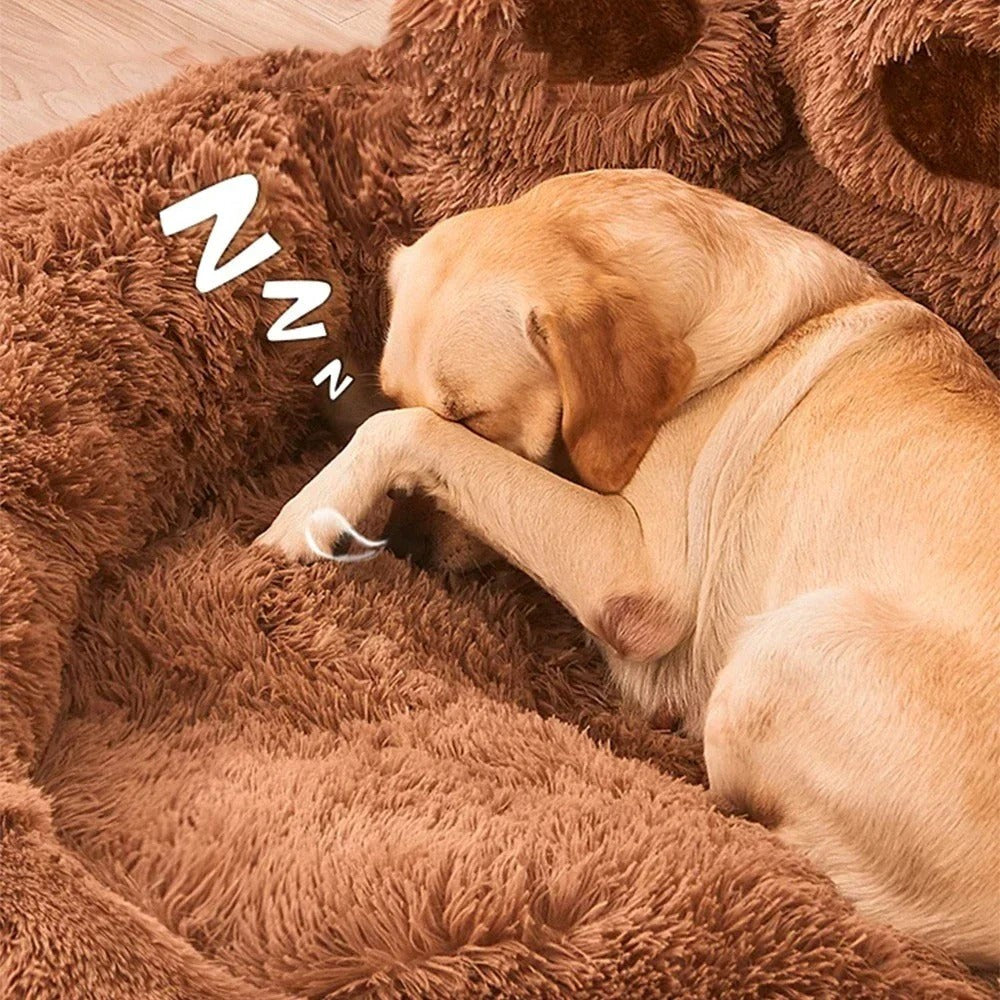 Grand chien endormi dans le coussin Top Donut café — idéal pour les grandes races