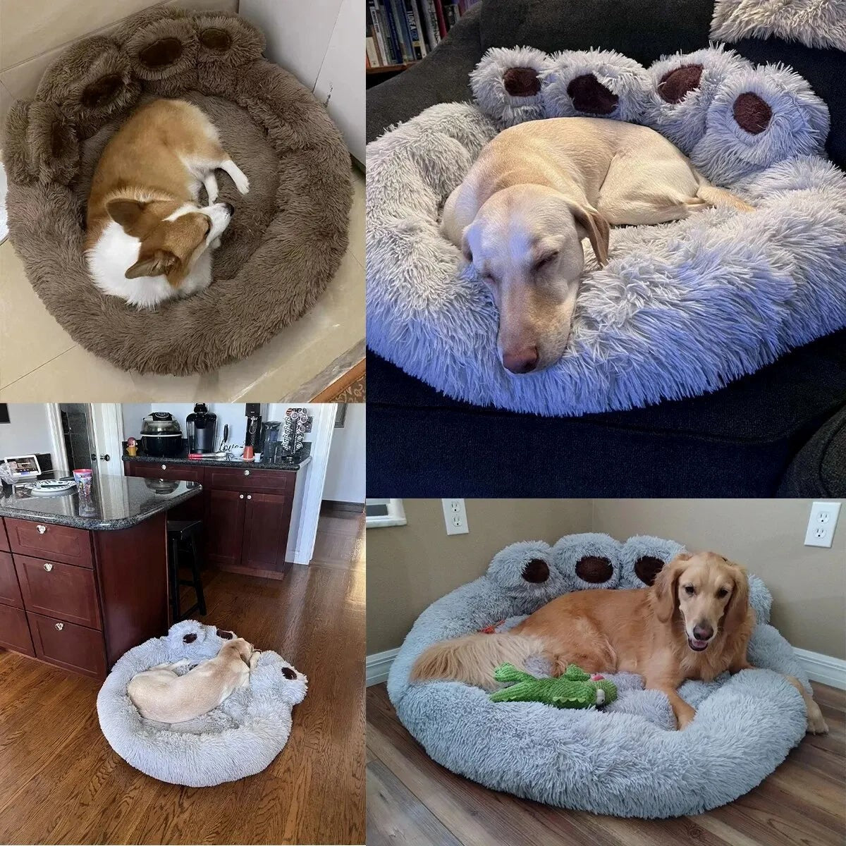 Coussin donut pour chien multi-angles — détails du rembourrage et de la forme patte