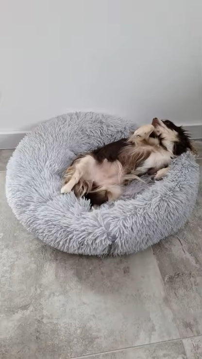 Chien  sur coussin anti-stress bords relevés gris clair