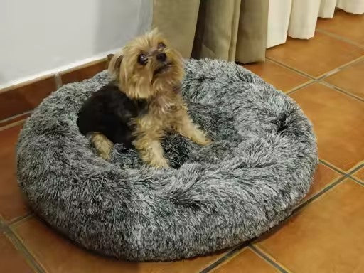 Yorkshire terrier assis sur coussin pour chien bords relevés gris foncé, photo client
