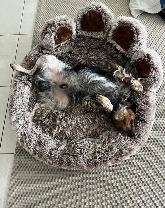 Coussin_pour_chien_anti-stress