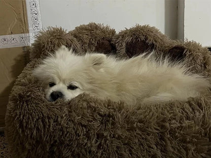 Coussin chien anti stress le toutou détendu