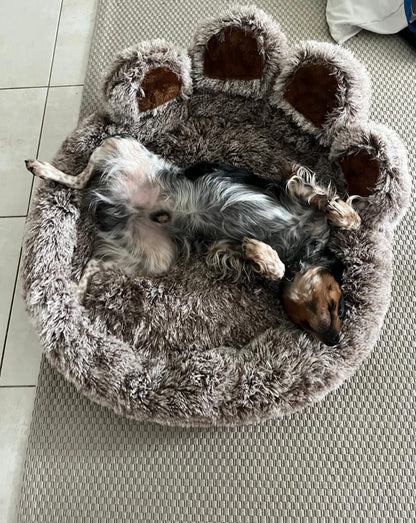 Coussin donut pour chien en coloris café — deux chiens installés dans le coussin moelleux