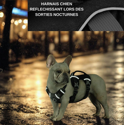 Harnais pour chien réfléchissant nuit - Harnais chien sécurité promenade nocturne