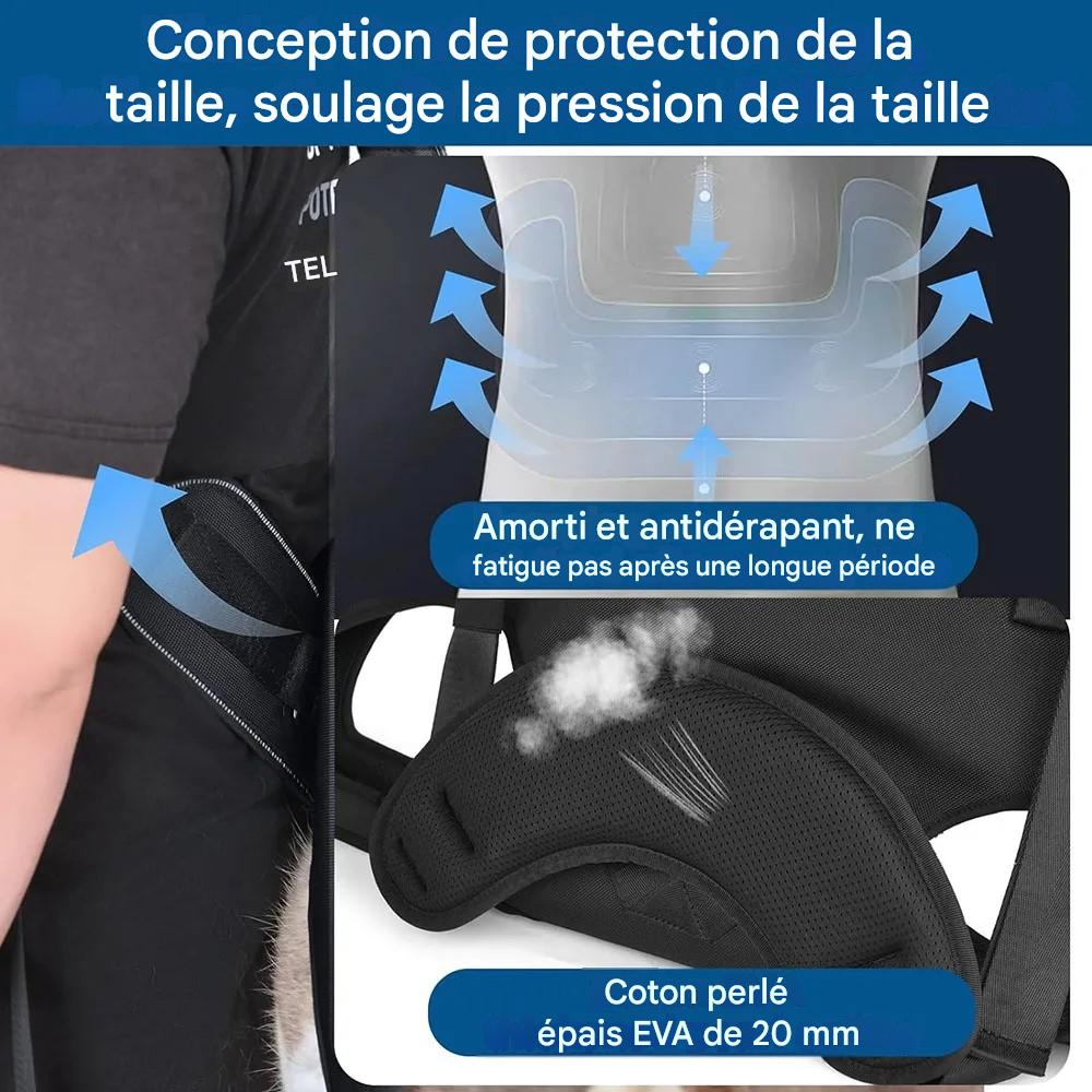 Harnais de levage pour chien respirant