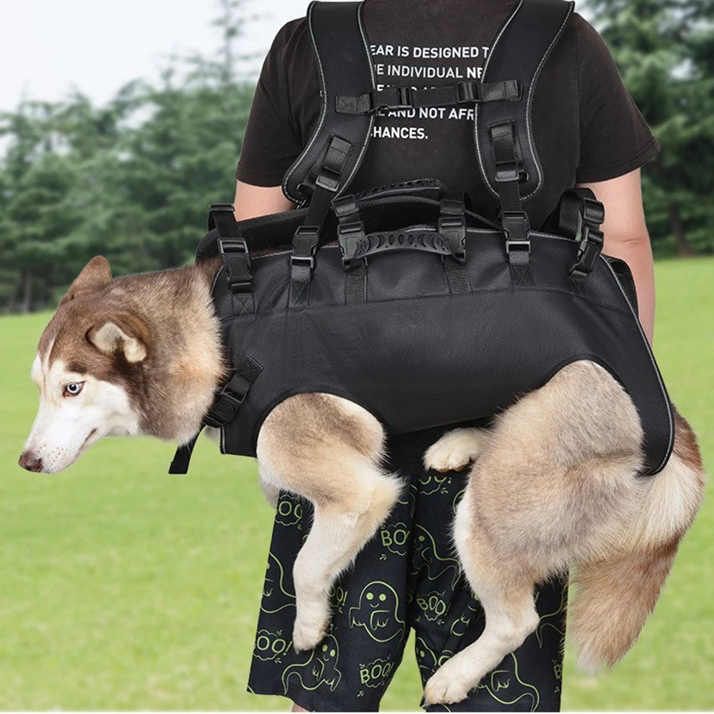 Harnais de levage pour chien DOS