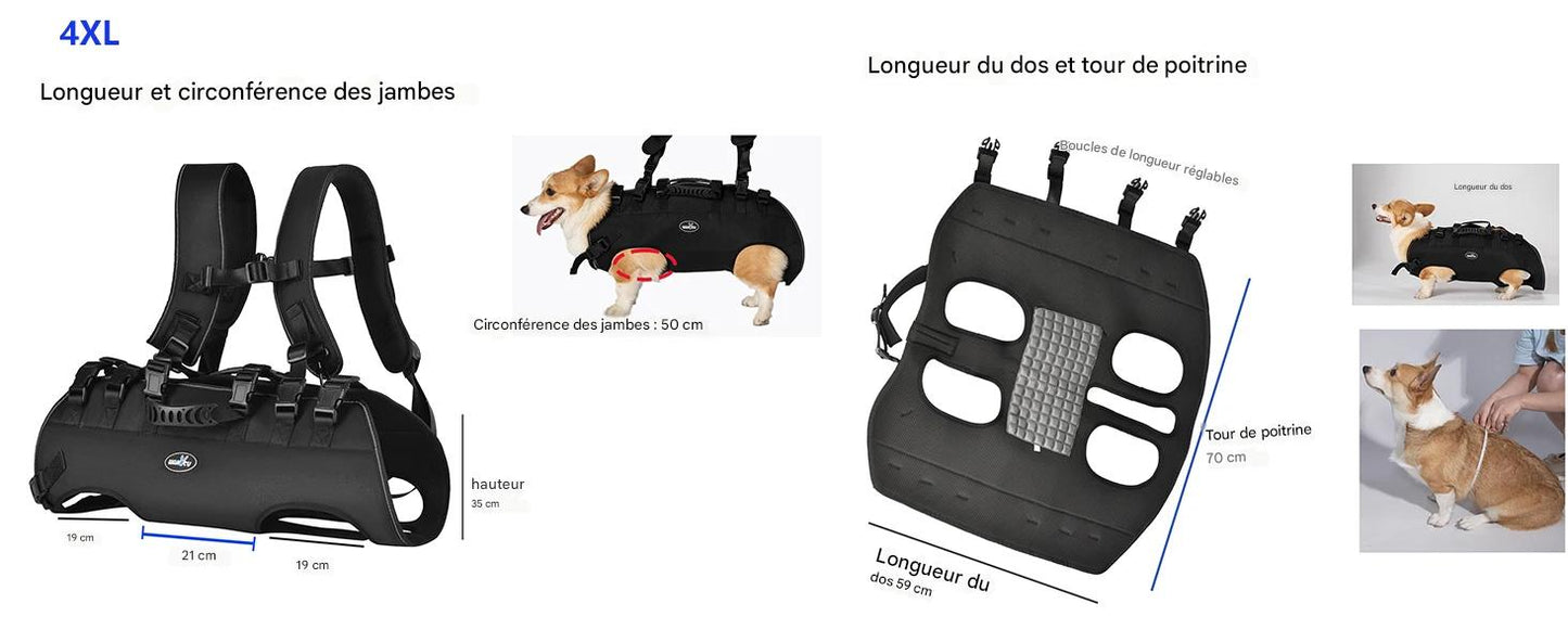 Harnais de Levage pour Chien | Mobilidog™